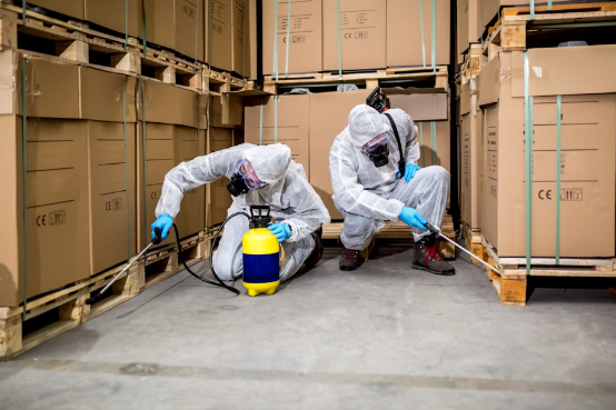 Protect Your Business: Commercial Pest Control in Gold Coast Safeguards Operations